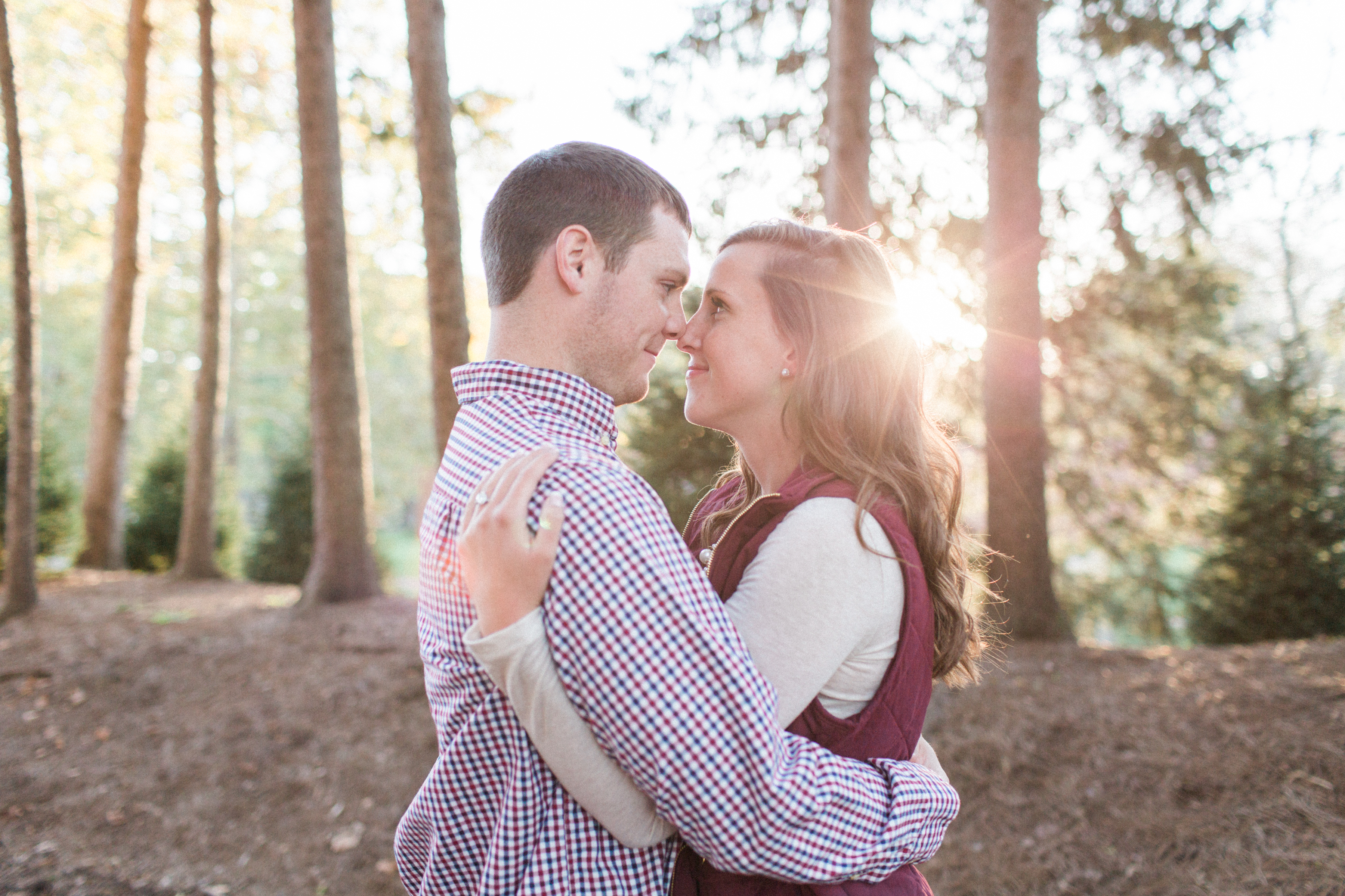 Sunlit and Noses touching